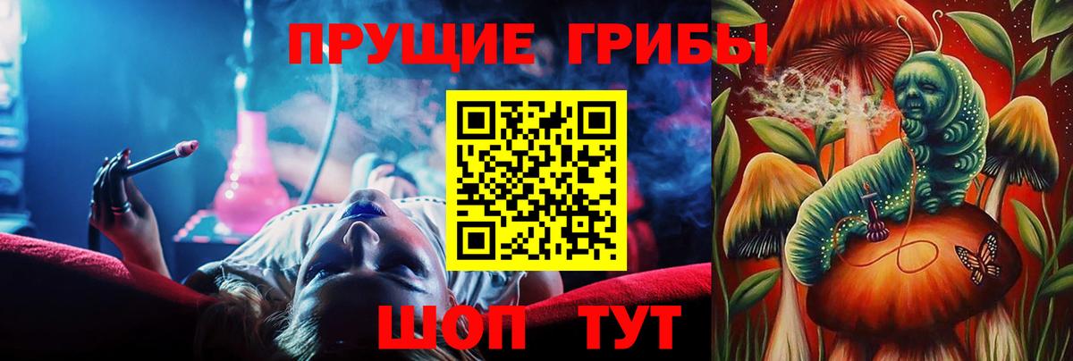 Галлюциногенные грибы прущие грибы Фролово
